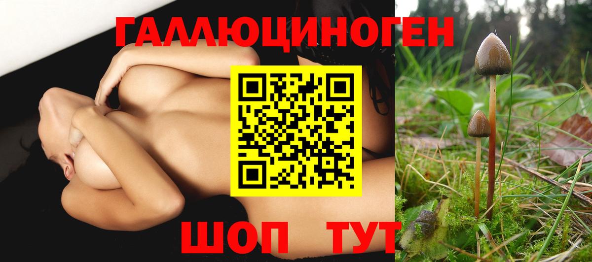 Донецк  Галлюциногенные грибы мухоморы  Вход с VPN  Псилоцибиновые грибы ЛСД 